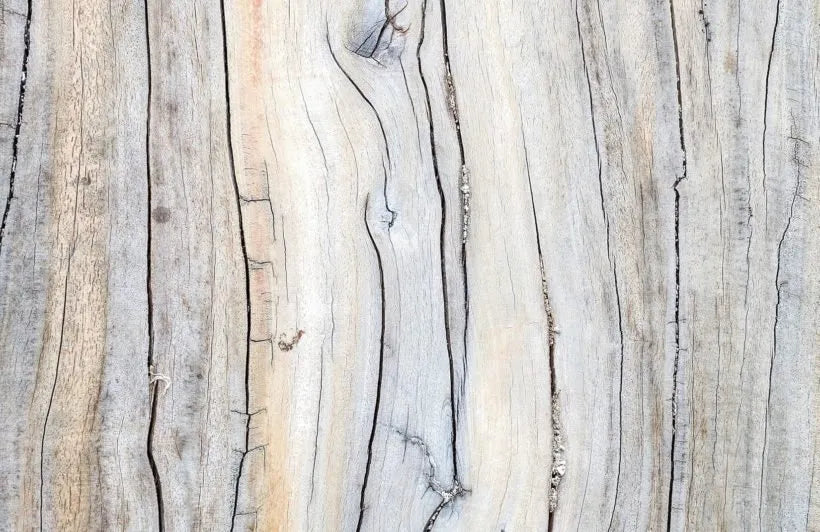 Papier peint panoramique trompe l’œil mur de bois flotté - Poésie Murale