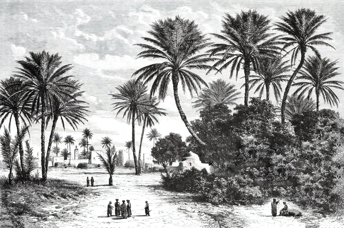 Papier peint panoramique tropical noir et blanc - Poésie Murale
