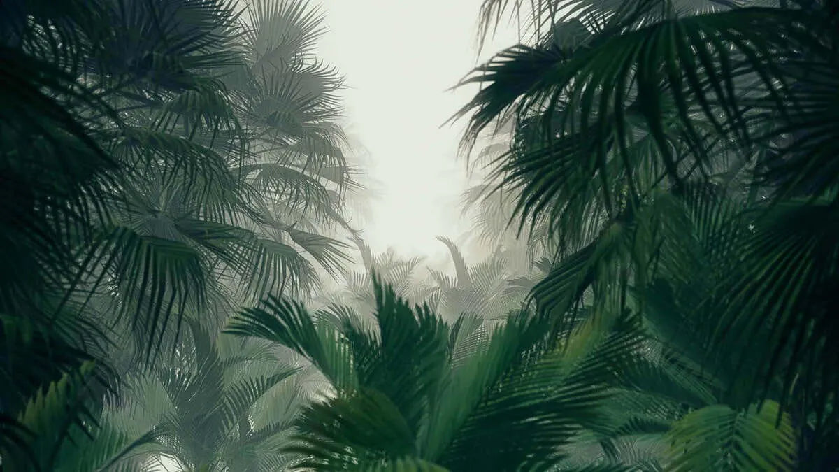 Papier peint forêt luxuriante
