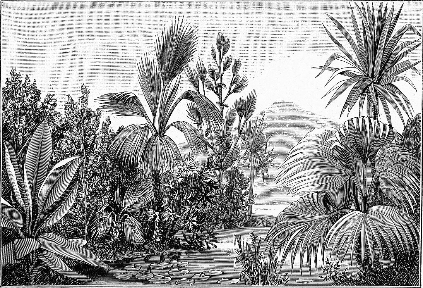 Papier peint panoramique dessin paysage tropical noir et blanc