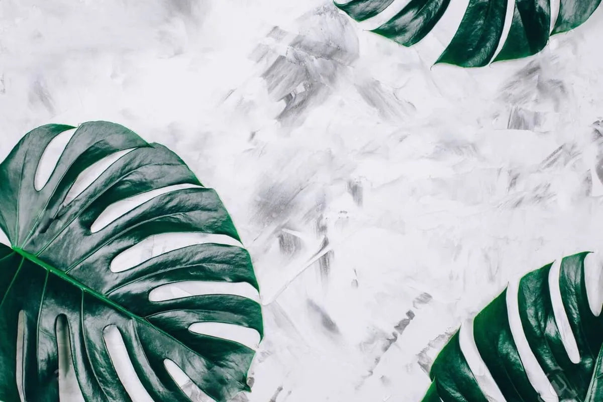 Papier peint panoramique feuille de monstera