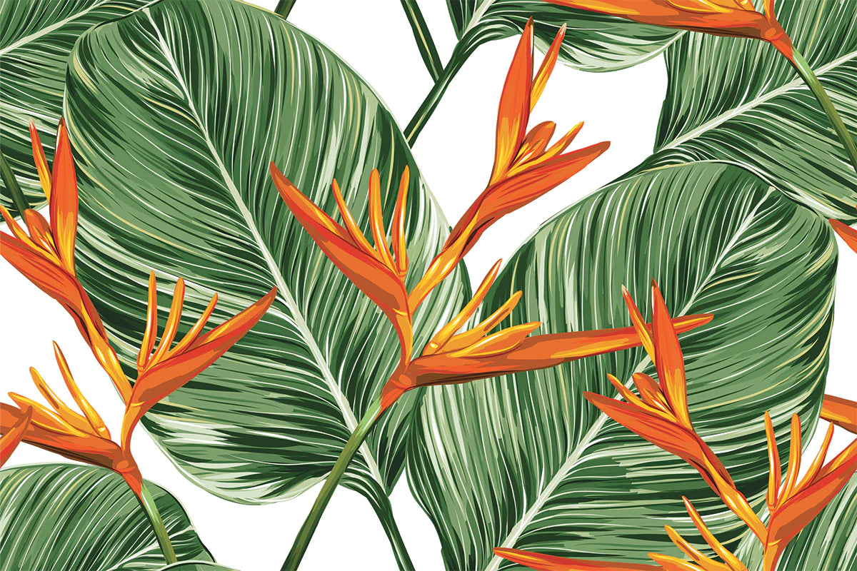 Papier peint panoramique oiseau du paradis