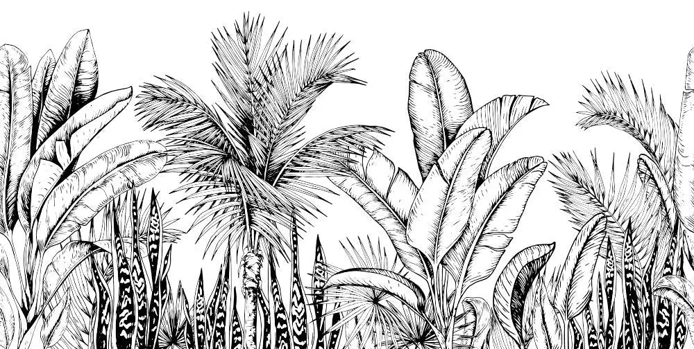 Papier peint panoramique forêt tropicale noir et blanc