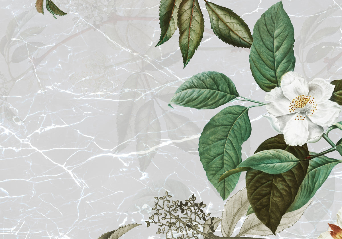 Papier peint panoramique botanique avec rose blanche, feuillage vert et fond marbre gris perle