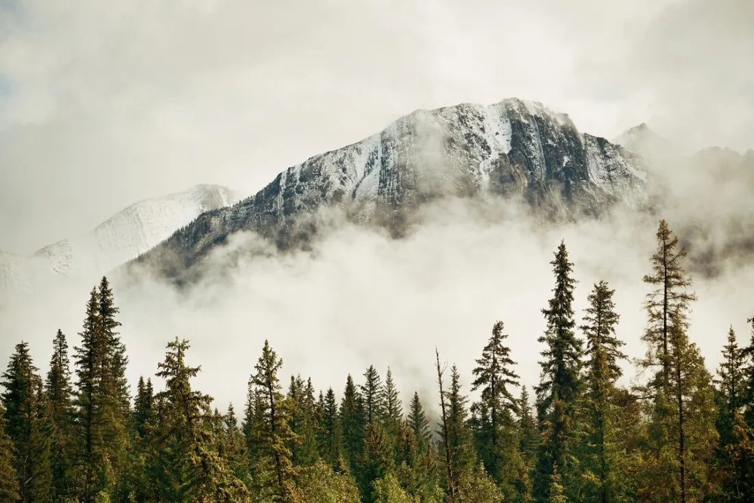 Papier peint panoramique brume et montagne enneigée - Poésie Murale