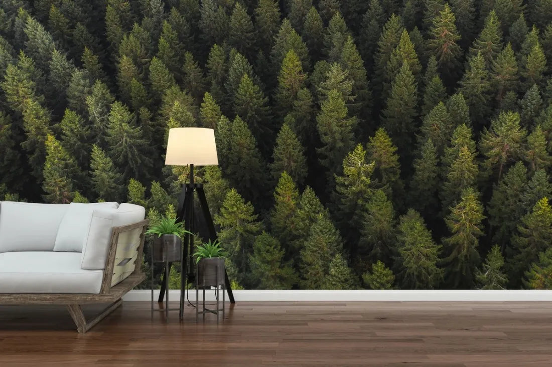Papier peint panoramique forêt alpine vue du ciel - Poésie Murale