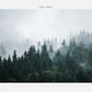 Papier peint panoramique forêt de sapin sous la brume - Poésie Murale