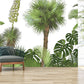Papier peint panoramique forêt tropicale