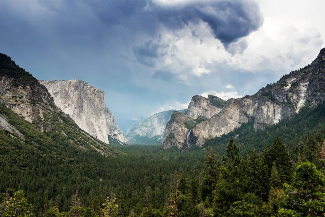 Papier peint panoramique forêt alpine