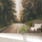 Papier peint panoramique route forestière - Poésie Murale