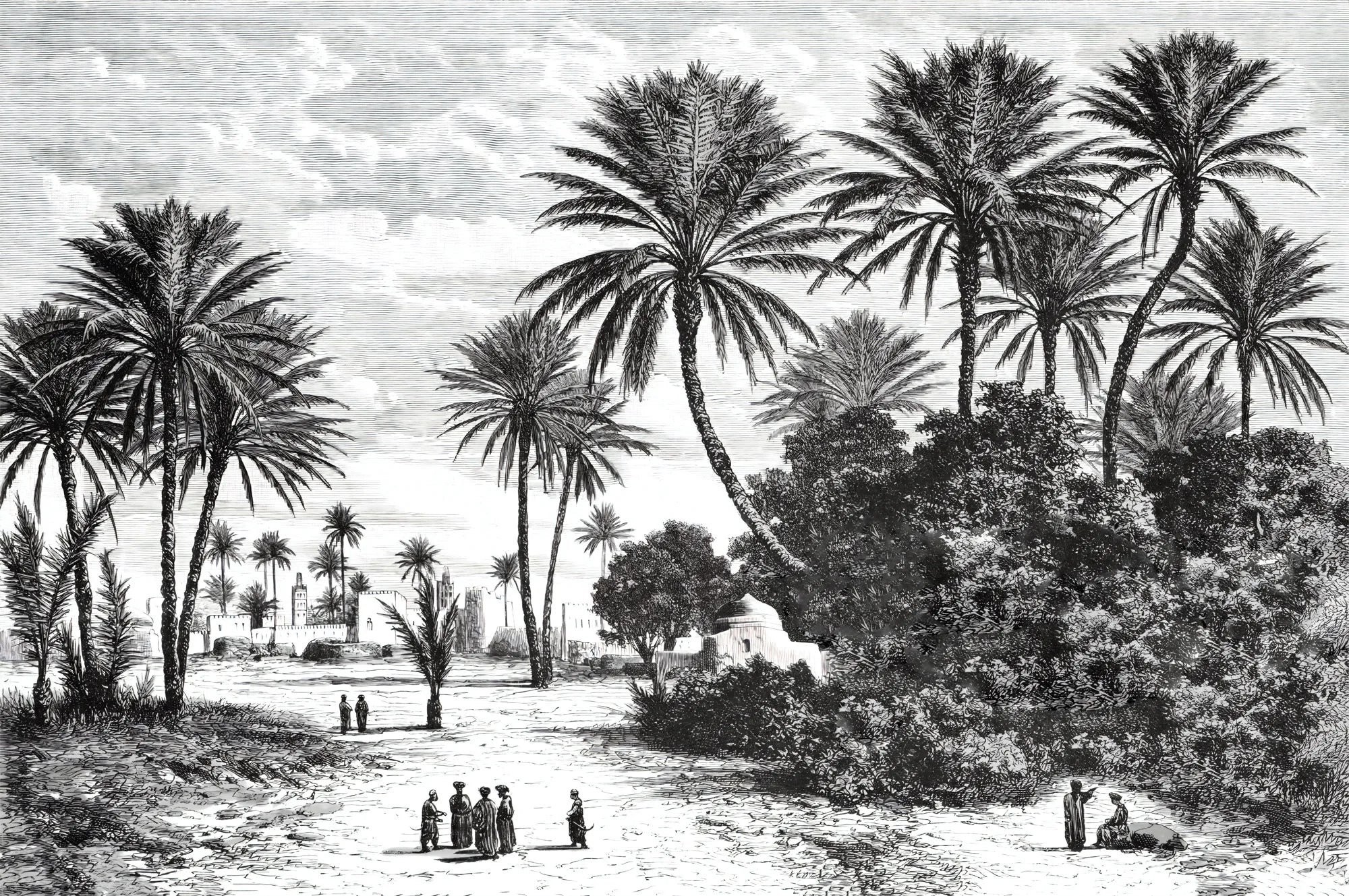 Papier peint panoramique tropical noir et blanc