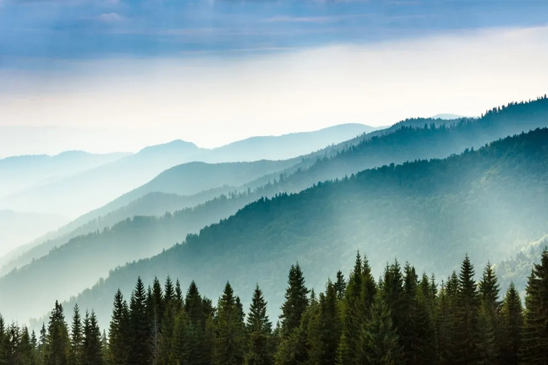 Papier peint panoramique montagne sous la brume