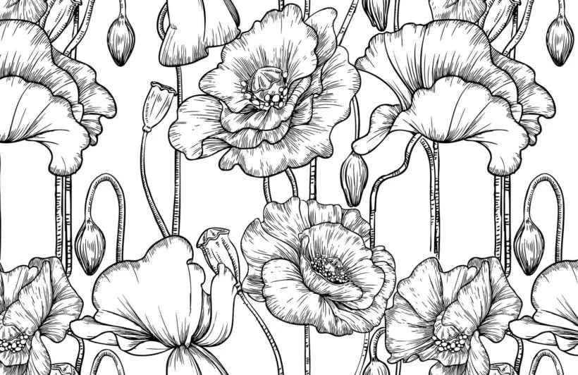 Papier peint panoramique illustration coquelicot noir et blanc - Poésie Murale