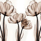 Papier peint illustration coquelicot - Poésie Murale