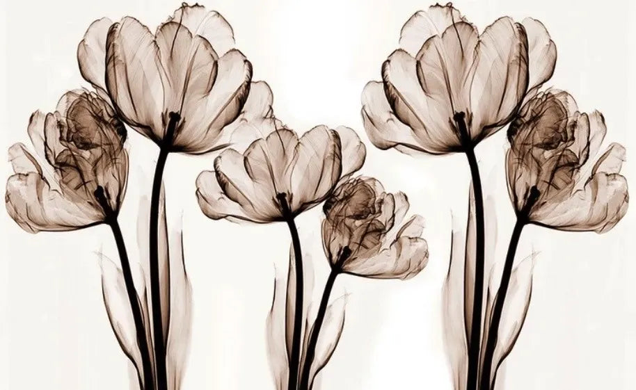 Papier peint illustration coquelicot