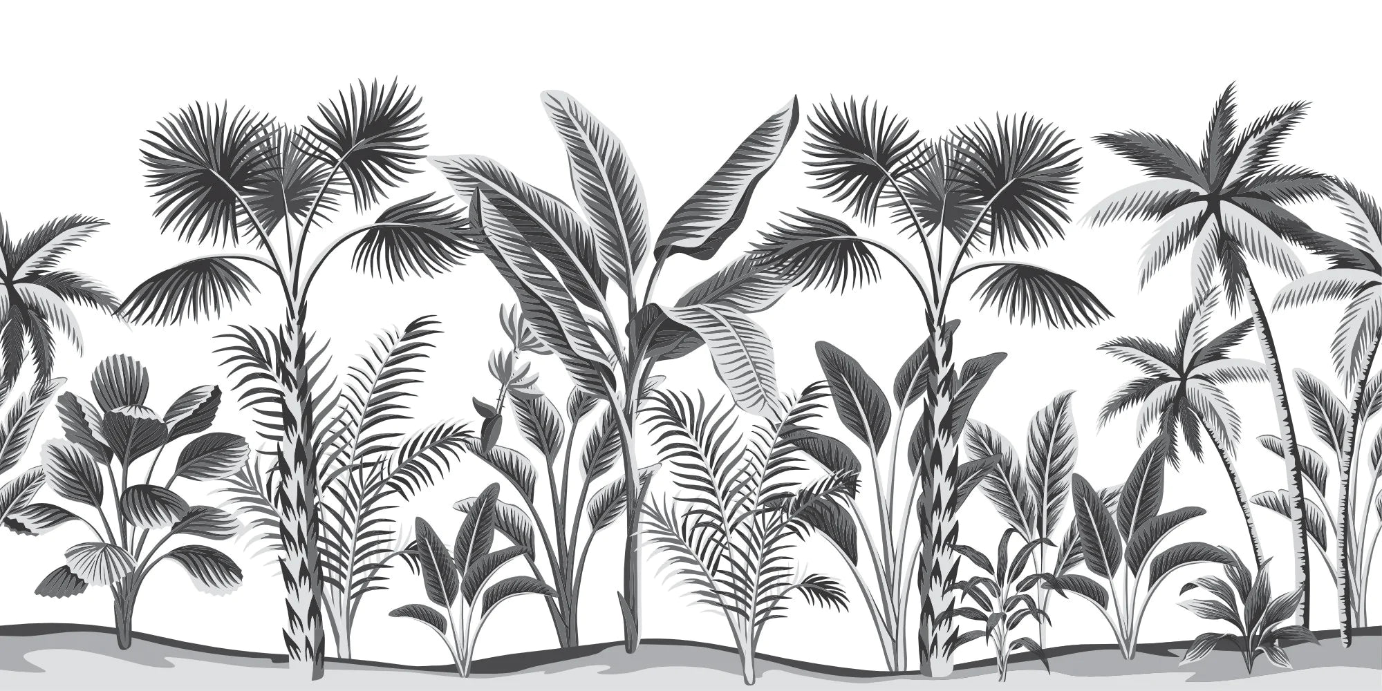 Papier peint panoramique dessin végétation tropicale noir et blanc