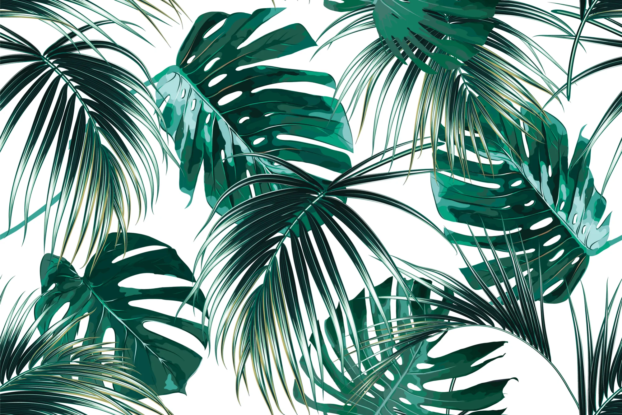 Papier peint panoramique feuille de monstera et de palmier