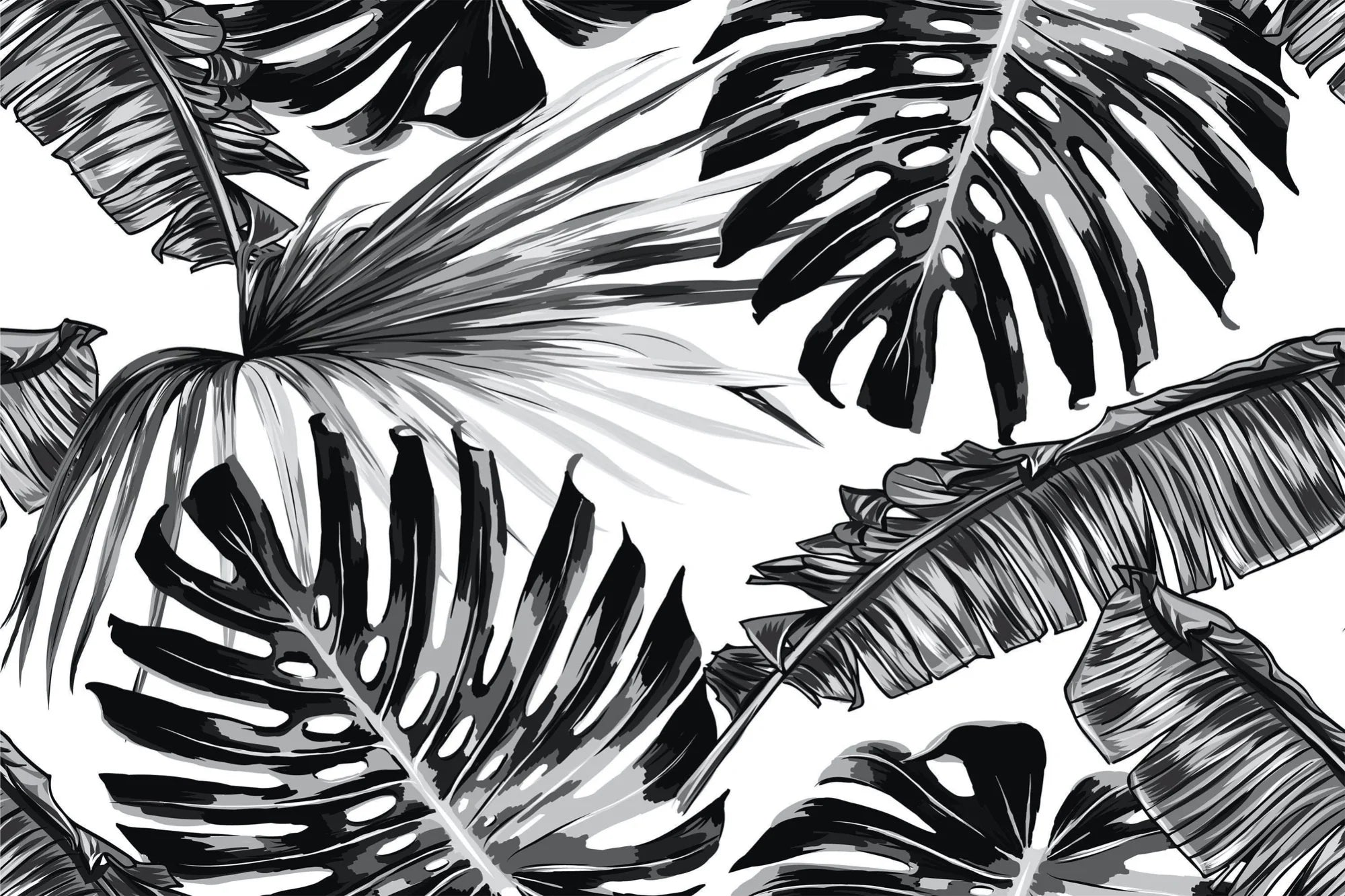 Papier peint panoramique monstera noir et blanc