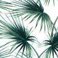 Papier peint feuille de palmier
