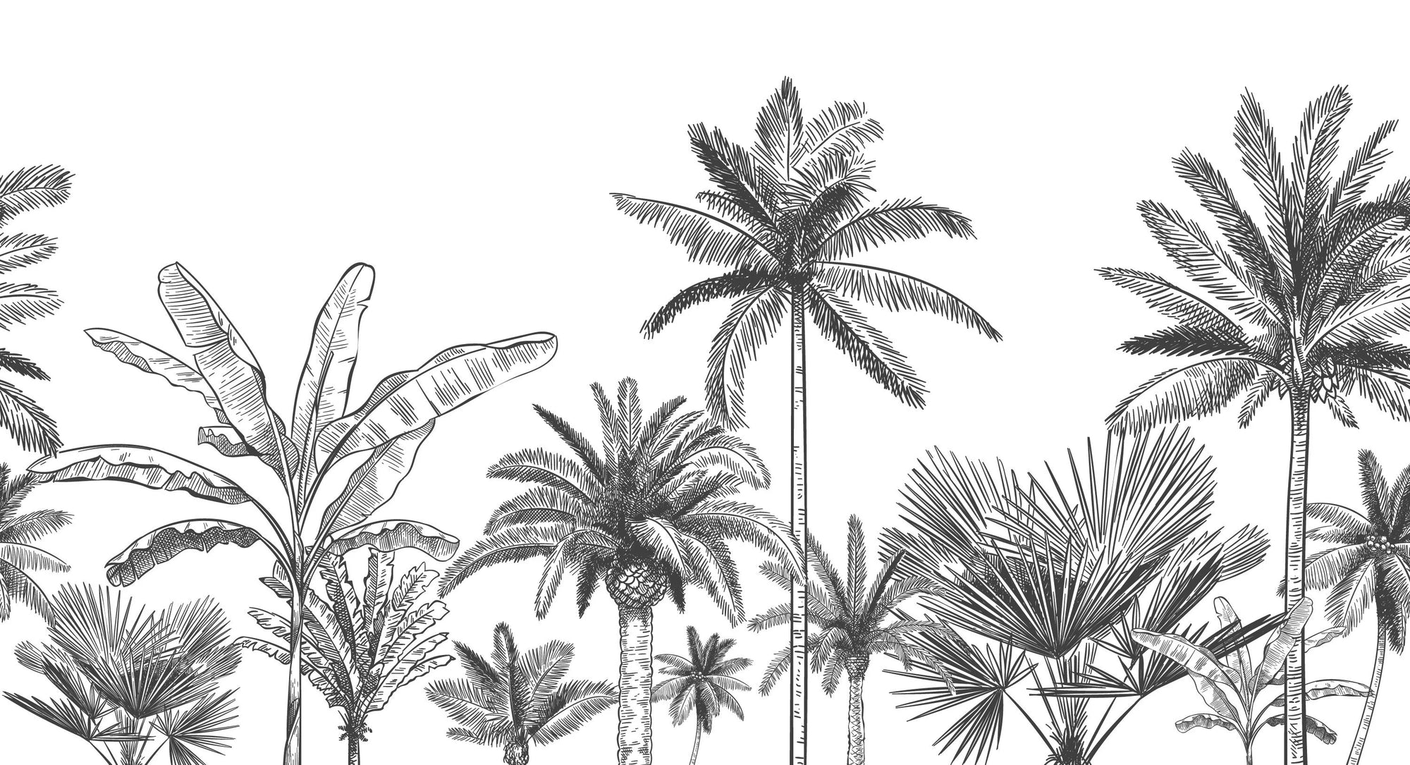 Papier peint panoramique végétation tropicale noir et blanc