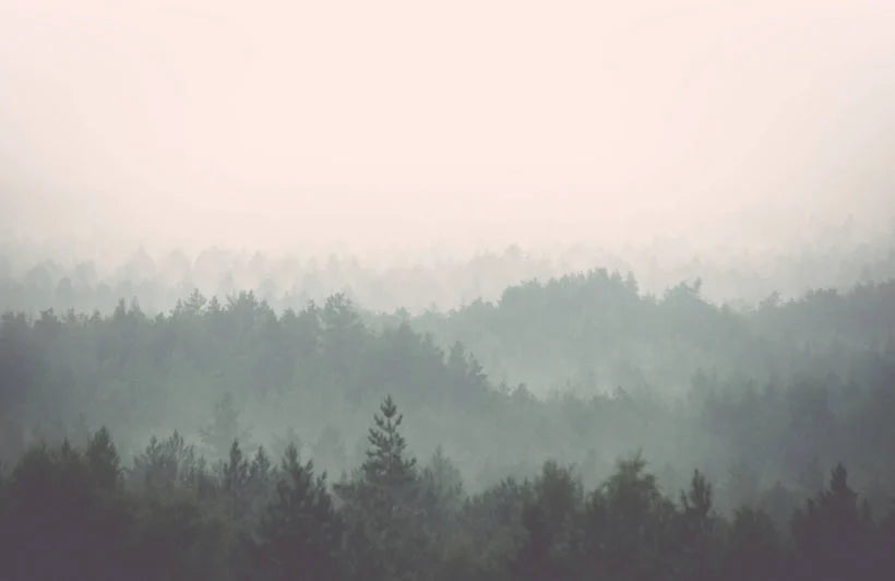 Papier peint panoramique montagne brumeuse - Poésie Murale