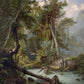 Papier peint panoramique sur mesure forêt tropicale
