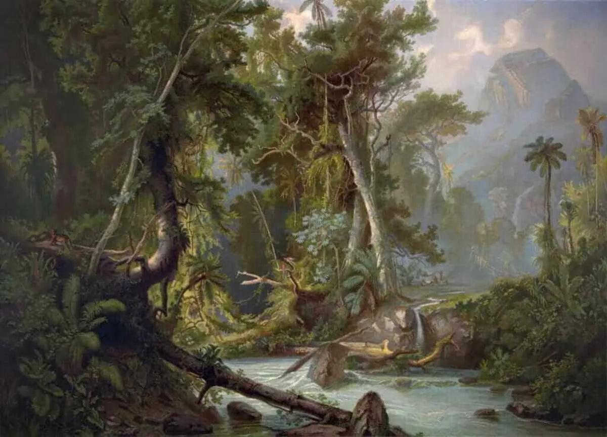 Papier peint panoramique sur mesure forêt tropicale
