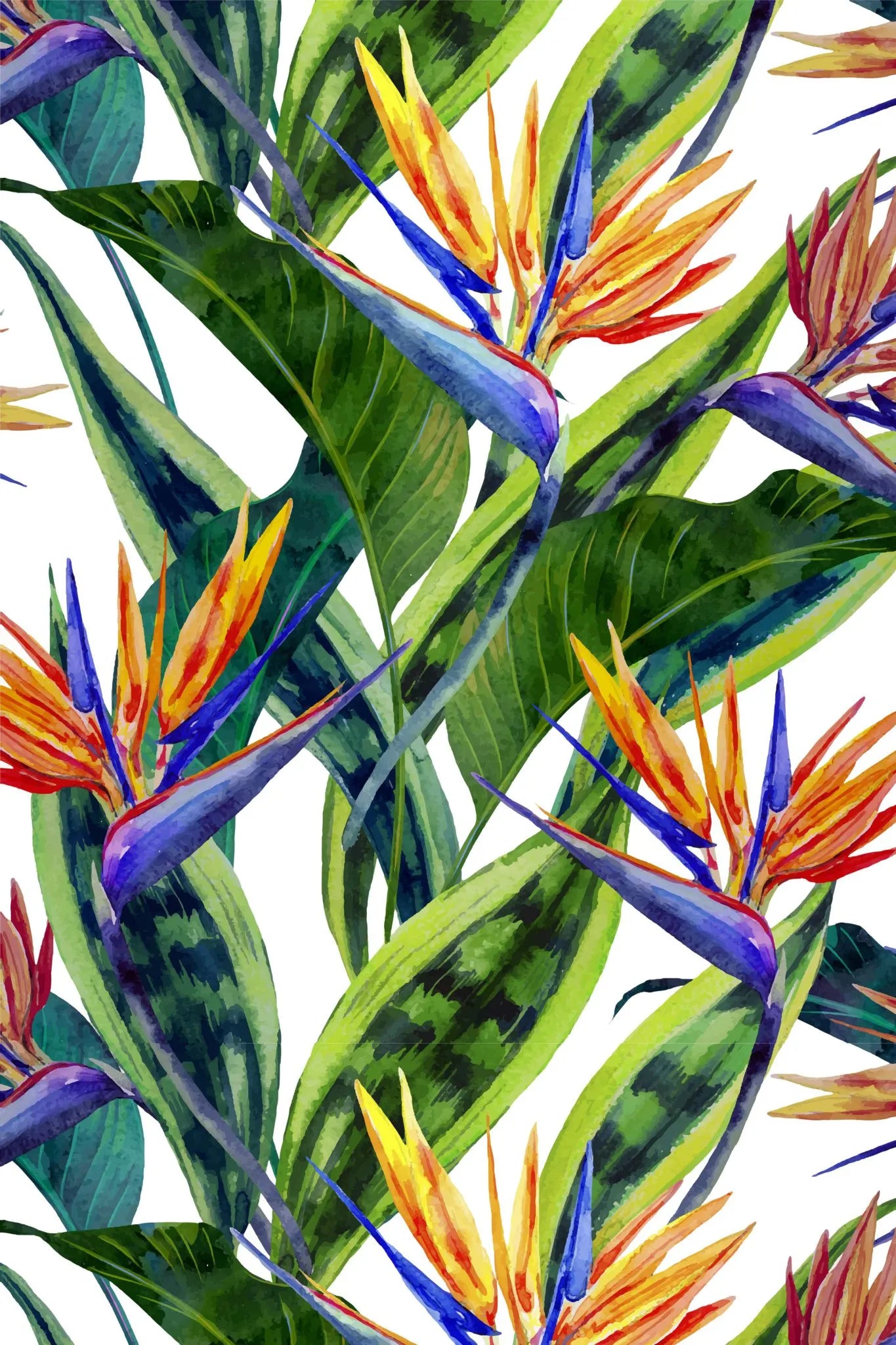 Papier peint panoramique oiseaux du paradis