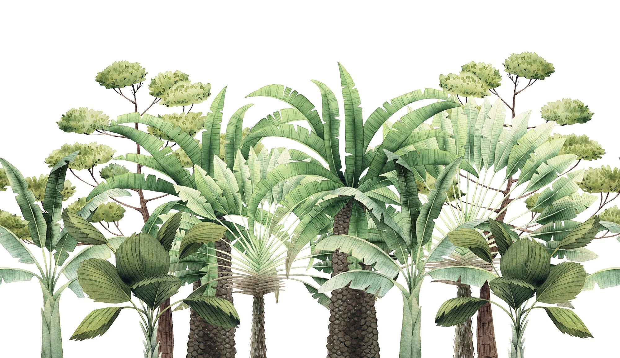 Papier peint panoramique arbres tropicaux