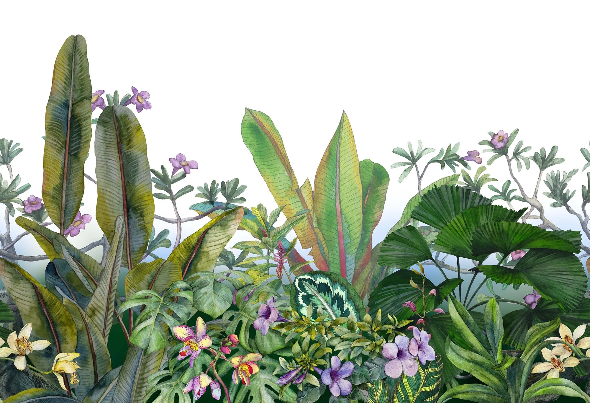 Papier peint panoramique jungle luxuriante