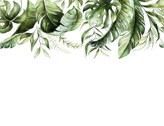 Papier peint panoramique végétation tropicale tombante - Poésie Murale