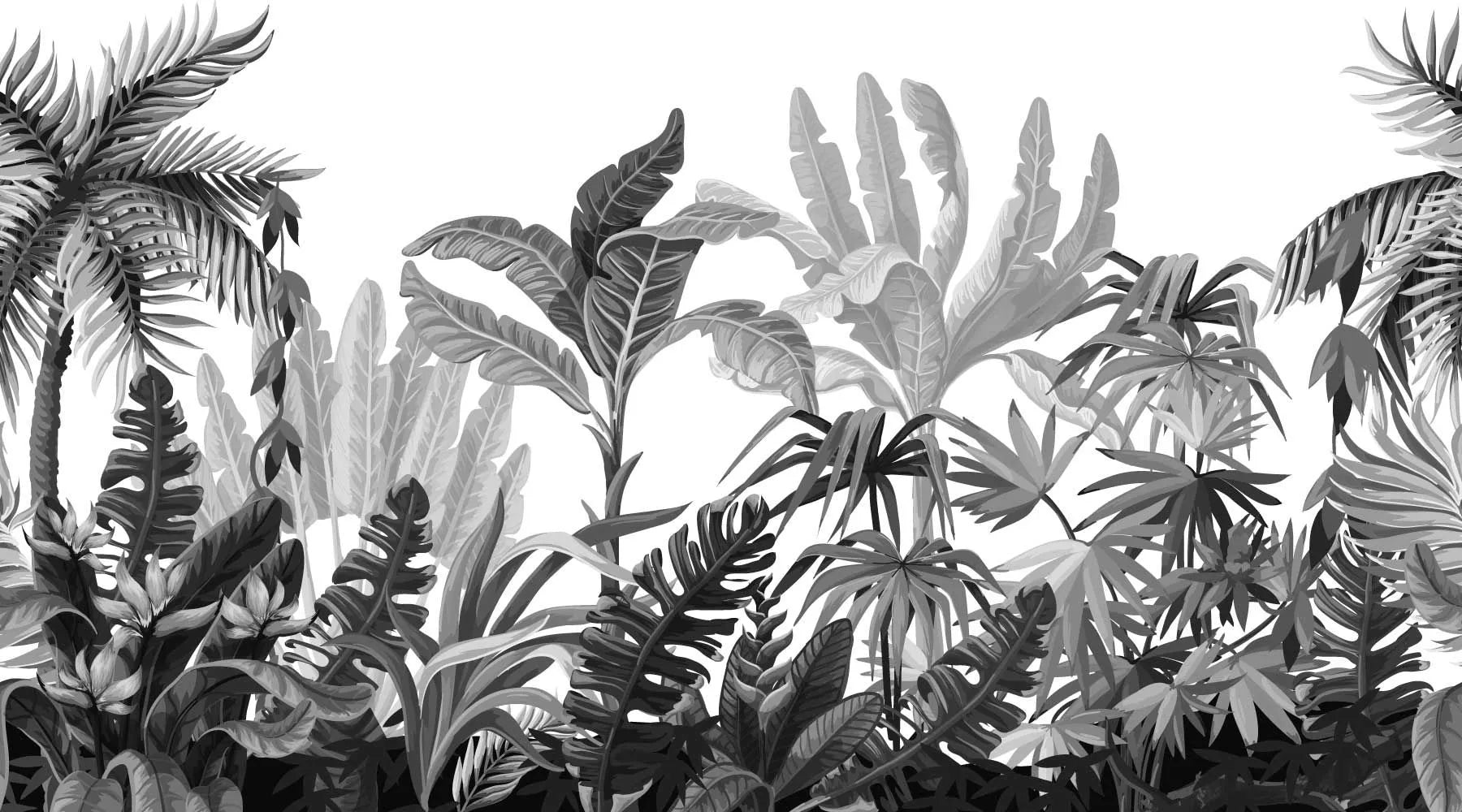 Papier peint panoramique jungle noir et blanc