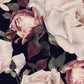 Papier peint XXL grandes roses blanches - Poésie Murale